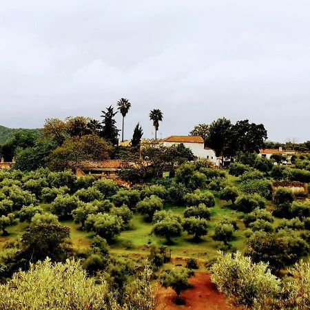 La Fuensanta Villa Hornachuelos Ngoại thất bức ảnh