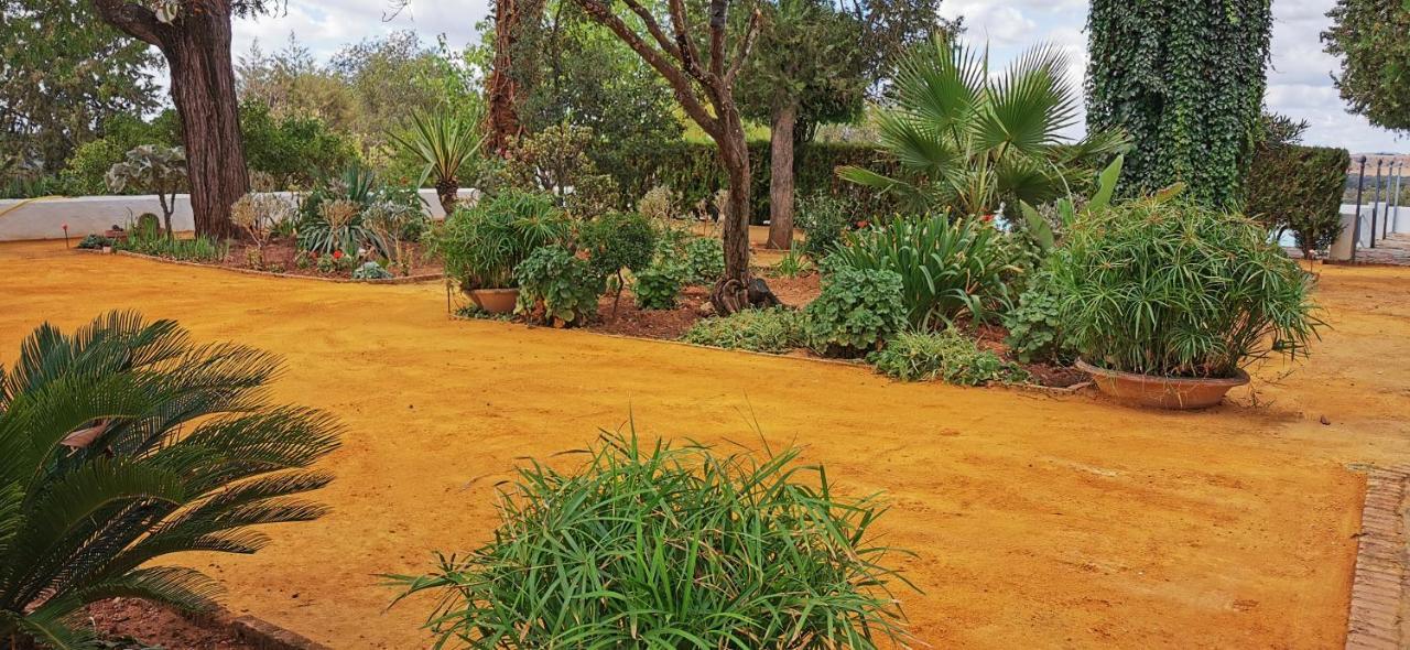 La Fuensanta Villa Hornachuelos Ngoại thất bức ảnh