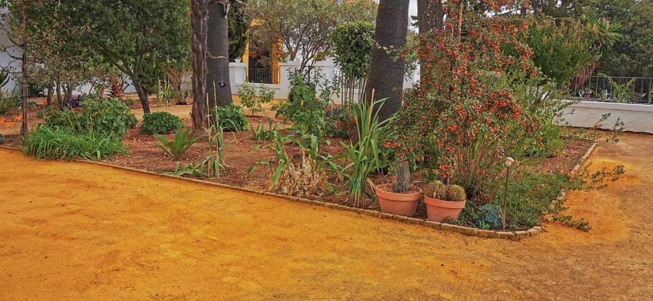 La Fuensanta Villa Hornachuelos Ngoại thất bức ảnh
