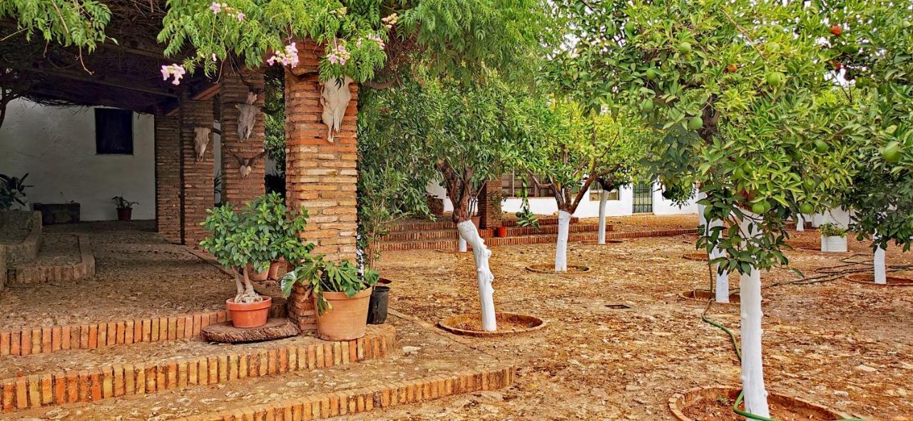 La Fuensanta Villa Hornachuelos Ngoại thất bức ảnh