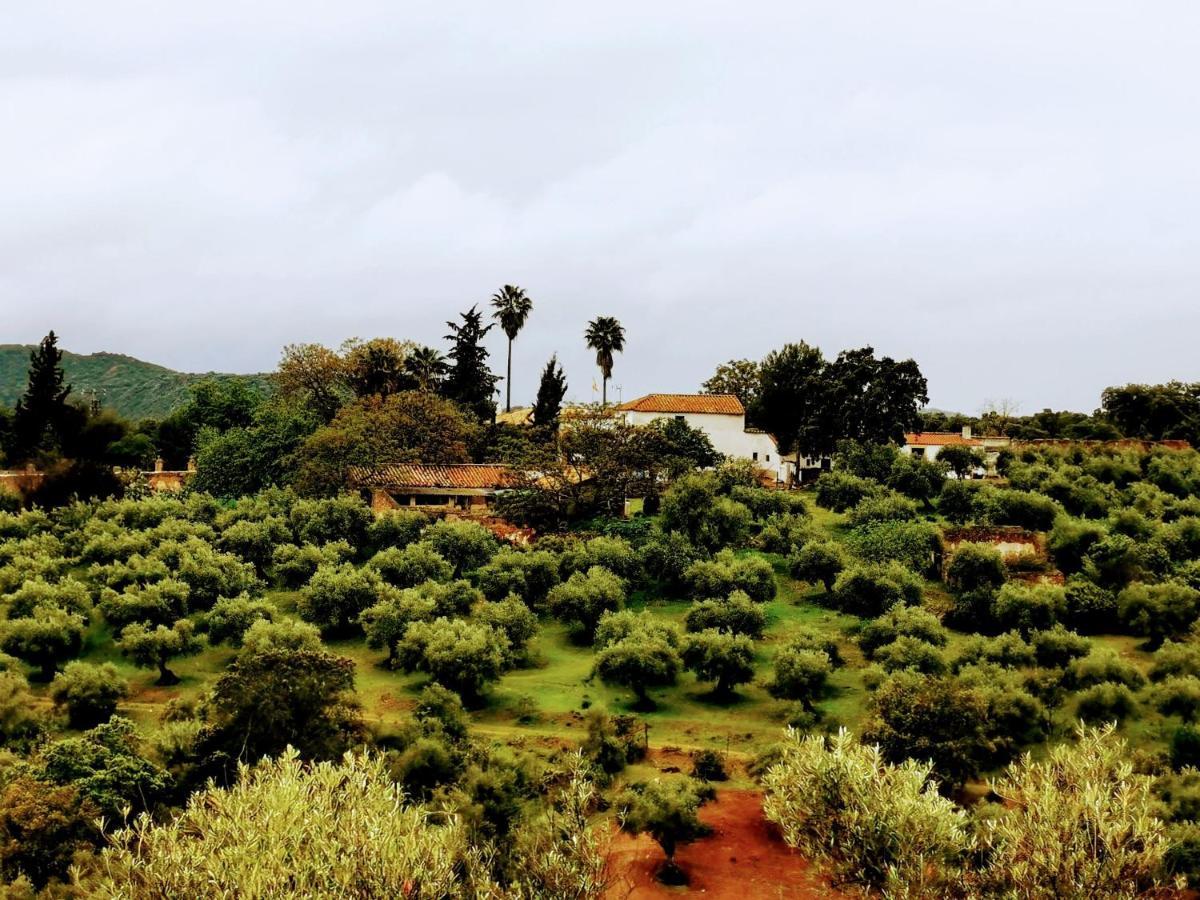 La Fuensanta Villa Hornachuelos Ngoại thất bức ảnh